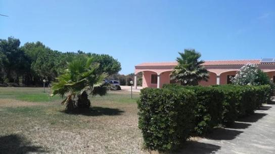 Il Ginepro Camping